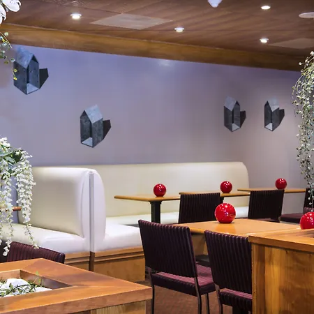 酒店 莫迪利亚尼别墅蓝色假日酒店 巴黎